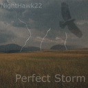 NightHawk22 – Perfect Storm (2012) single cover