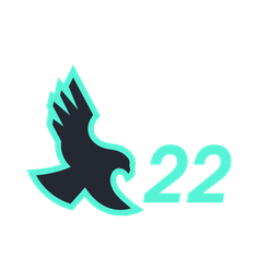 NightHawk22 logo